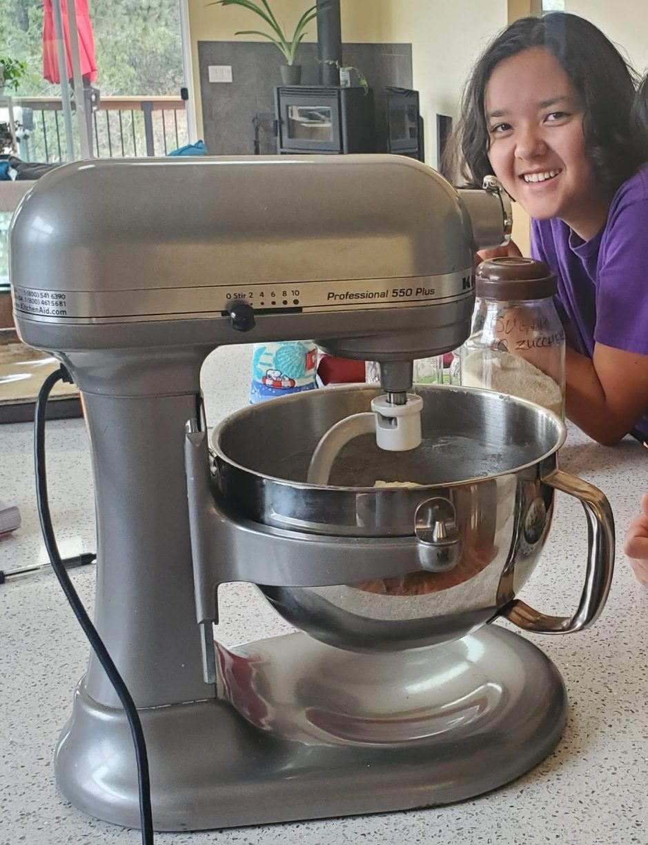 KitchenAid Pro Line Stand Mixer review: for serious bakers