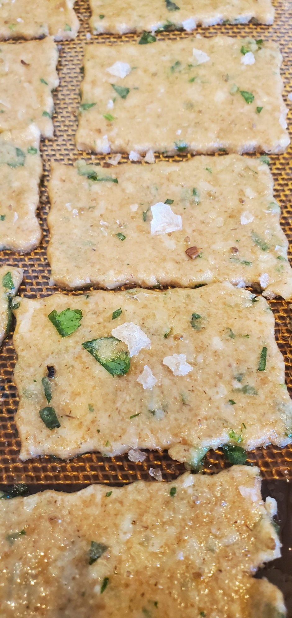 Sourdough Crackers with Olive Oil & Herbs